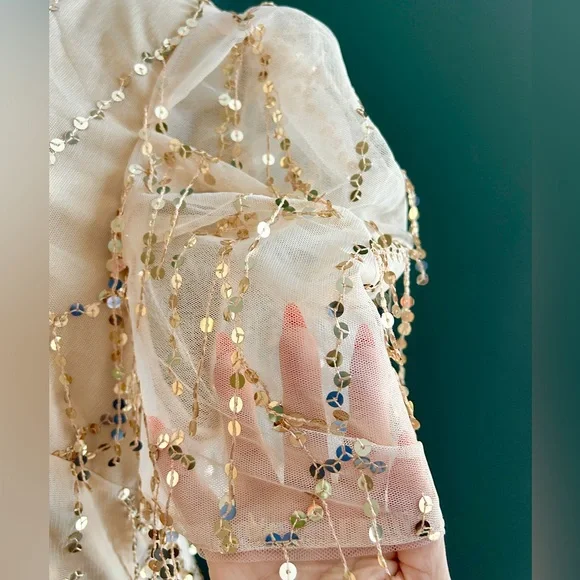 Elegant Beige Gold Tassel Sequin Short Sleeve Dress Plus Size 18 3X - Picture 5 of 9